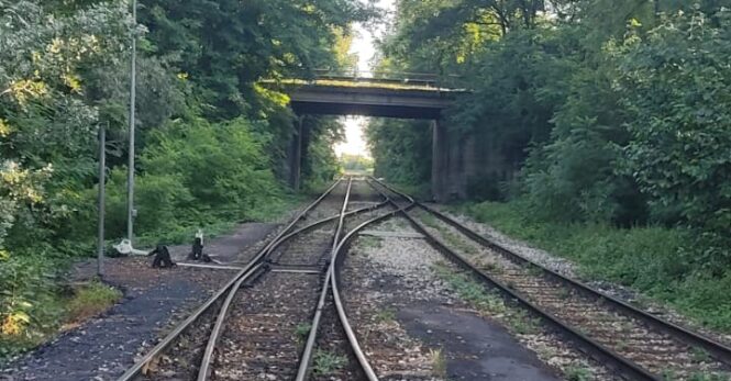 SOGRAF - Sostenibilità e risparmio ambientale